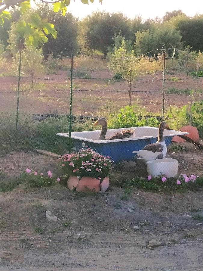 Myparadise-Farm Villa In The Centre Of South Crete Kalamaki  Ngoại thất bức ảnh
