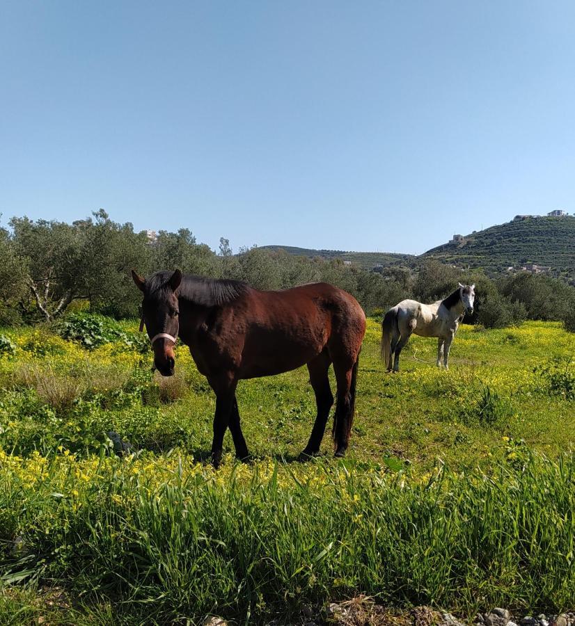 Myparadise-Farm Villa In The Centre Of South Crete Kalamaki  Ngoại thất bức ảnh