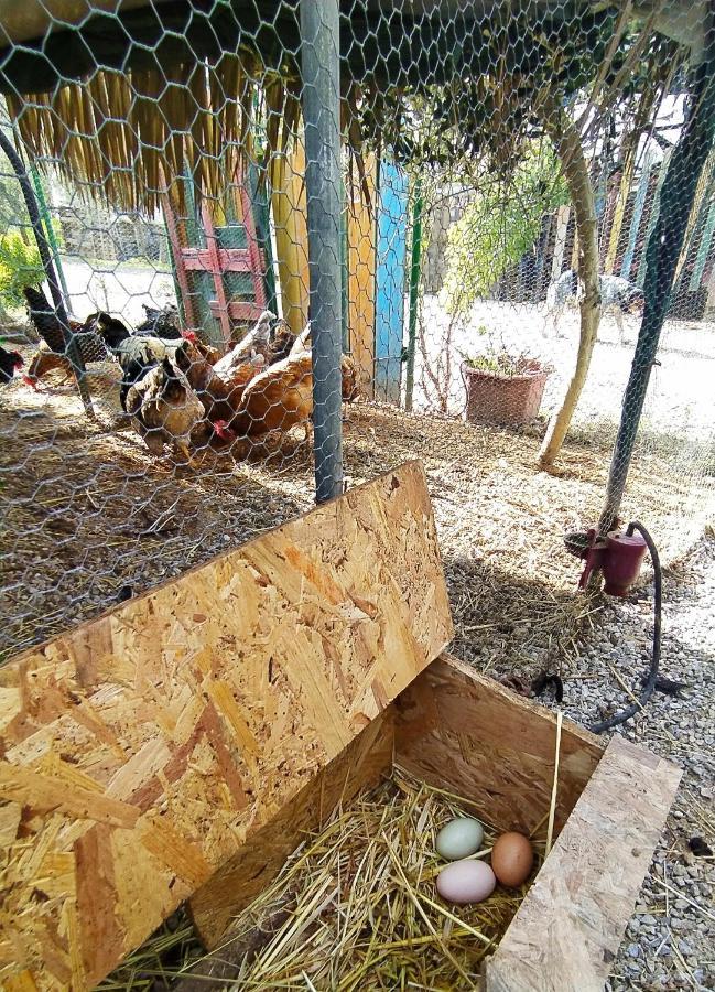 Myparadise-Farm Villa In The Centre Of South Crete Kalamaki  Ngoại thất bức ảnh