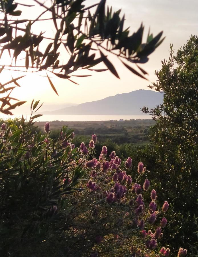 Myparadise-Farm Villa In The Centre Of South Crete Kalamaki  Ngoại thất bức ảnh