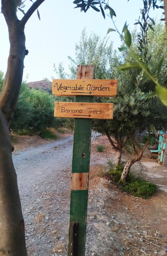 Myparadise-Farm Villa In The Centre Of South Crete Kalamaki  Ngoại thất bức ảnh